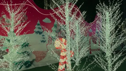 Christmas twig tree with interactive LED icicle lights in rgb multi color. 스톡 동영상 295514359