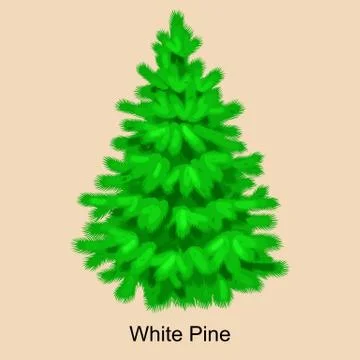 Christmas vector tree like white pine for New year celebration without holi.. Illustrazione stock