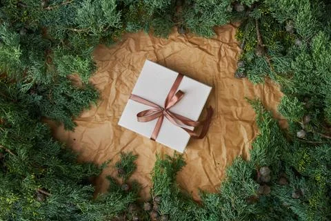 Christmas white gift with empty space for text framed from natural spruce Foto stock