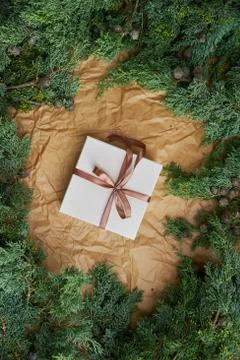 Christmas white gift with empty space for text framed from natural spruce Stock Photos