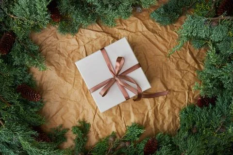 Christmas white gift with empty space for text framed from natural spruce and Stock Photos