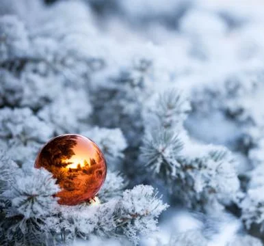 Christmas winter background Stock Photos