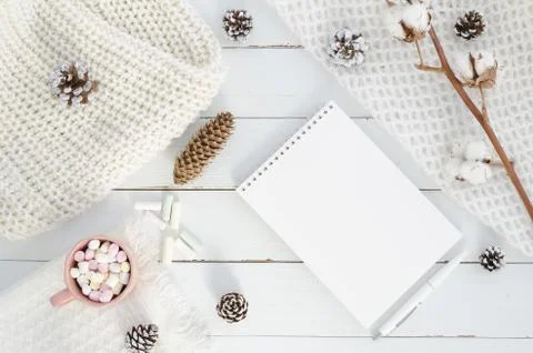 Christmas winter composition. Blank notepad, fir tree pine cones, cotton flowers Stock Photos