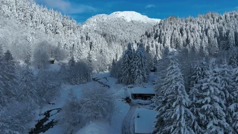 Christmas winter forest in Chamonix alpine village in French Alps, winter Stock Footage 316685014