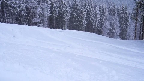 Christmas winter landscape Stock-Footage 73481550