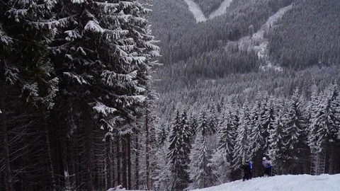 Christmas winter landscape Stock-Footage 73481854