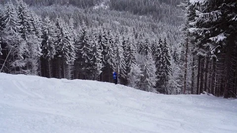 Christmas winter landscape Stockbeeldmateriaal 73481885