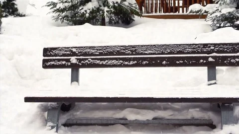 Christmas winter landscape Stock Footage