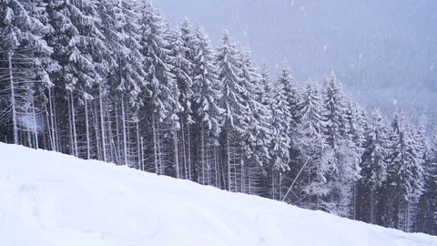 Christmas winter landscape Stock-Footage 74351524
