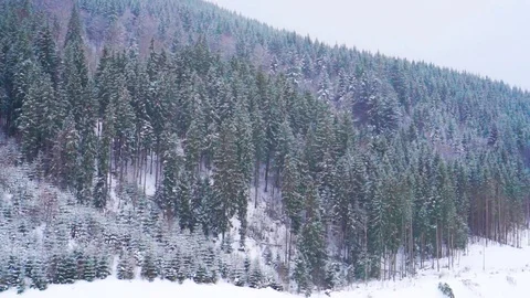 Christmas winter landscape Stock-Footage 74928127