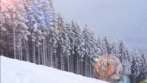 Christmas winter landscape Stock-Footage 74928167