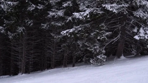 Christmas winter landscape Stock-Footage 74928480