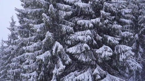 Christmas winter landscape Stockbeeldmateriaal 76424787