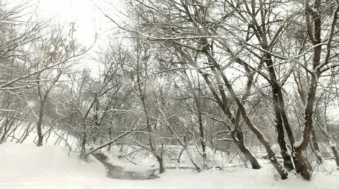 Christmas Winter Scene Vídeo Stock 784274