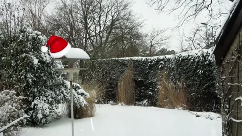 Christmas wish 2024  Stockbeeldmateriaal 226534945