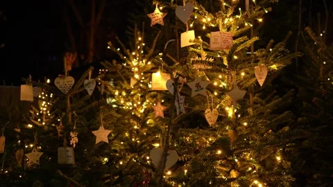 Christmas wish tree with lights Stock Footage 305681312