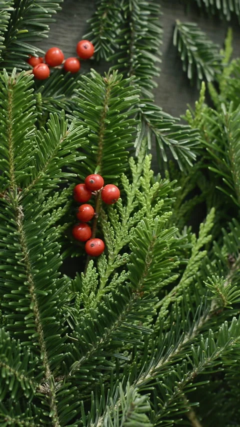 Christmas wreath vertical background Stock Footage 293955637