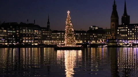 Christmas_tree Stock Footage 94145316