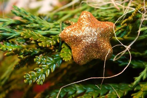 Christmass Stock Photos