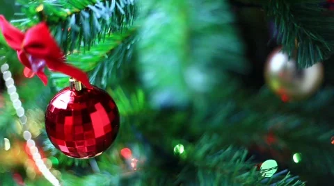 Christmass toy on tree  스톡 동영상 569885