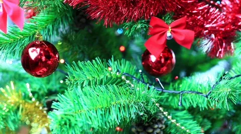 Christmass toy on tree  Stock Footage 569892