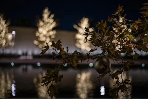 Christmass tree Foto stock