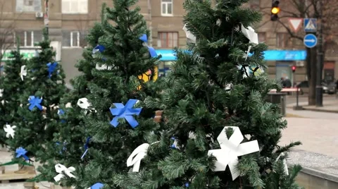 Christmass trees. Let it snow Stock Footage 44817098