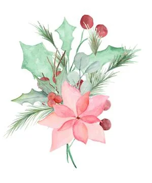 Christmast flower Stock Illustration
