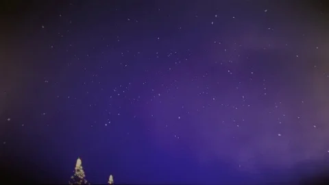 ChristmasTreesGrowing Stock Footage 82735968