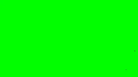 Chroma key birds crow flok in skyes alpha channel stock video Stock Footage 116745554