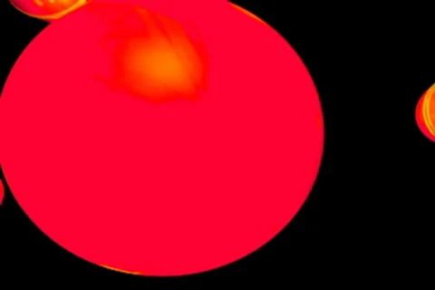 Chroma720 flower1r Video stock 8525366