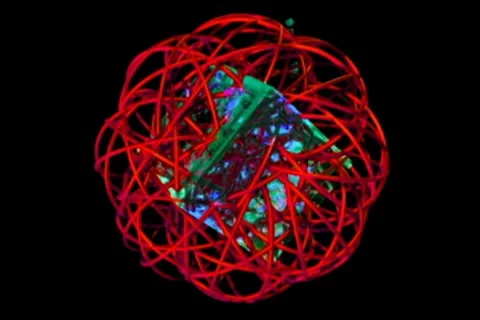 Chroma720 metanode cube left Video stock 8532265