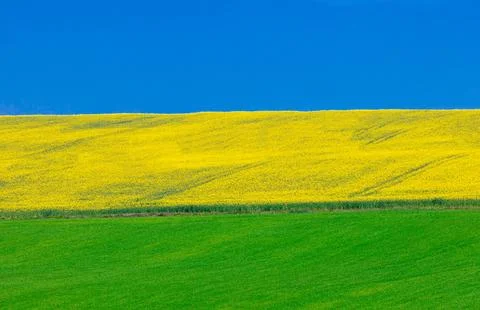 The chromatic harmony of nature in spring Stock Photos