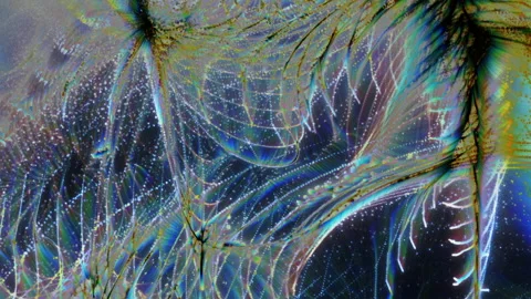 Chromatic particles 2 in infinite loop Stock Footage 330360628