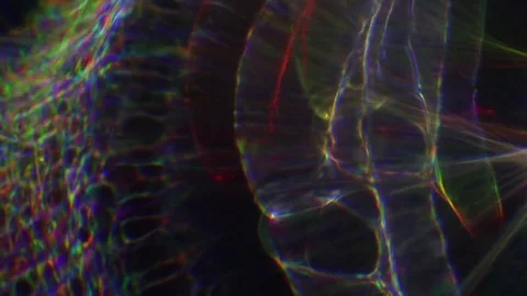 Chromatic Refractions Stock Footage 76771677