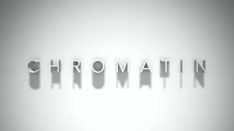 Chromatin 3D title animation with shadows on a white background Stock Footage 297384714