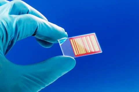 Chromatogram Foto stock