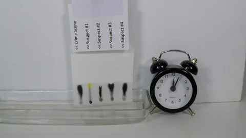 Chromatography of 4 different markers versus a crime scene evidence. Stock Footage 123647468