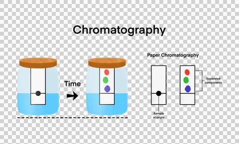 Chromatography analytical method for the separation of a mixture Stock Illustration