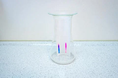 Chromatography experiment in chemistry class Stock Photos