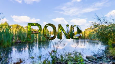 Chrome inscription pond 3d render. Environmental conservation concept, nature Stock Footage 296257522