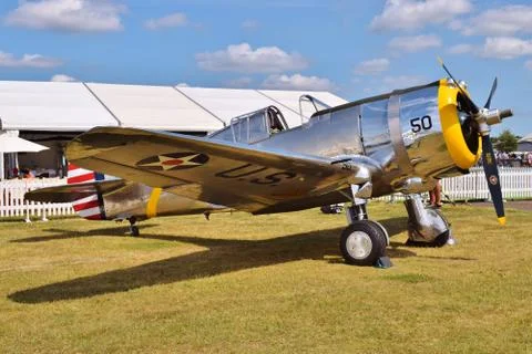 Chrome P-36 Hawk Stockfoto's