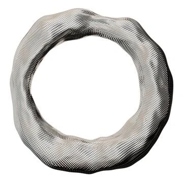 A chrome ring with a round frame on a clear background. The ring is rendered  Stock Photos