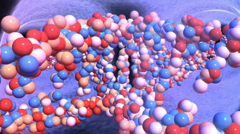 Chromosome 2 Video stock 374880