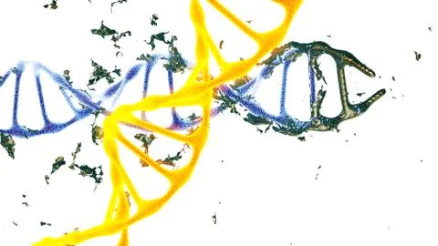 Chromosome . 3D render isolated Stock Illustration