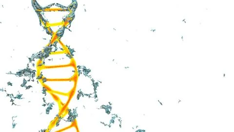 Chromosome . 3D render isolated Stock Illustration