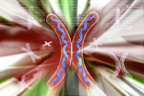 Chromosome in abstract background. Stock Illustration