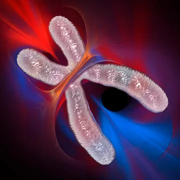 Chromosome; artwork Stock Illustration