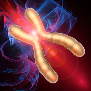 Chromosome; artwork 스톡 일러스트