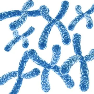 Chromosome background Stock Illustration